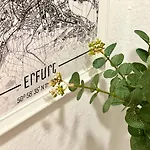 Blickfang - Modernes Direkt In Der Altstadt Von Mit Balkon - Lage Und Aussicht Апартаменты Эрфурт