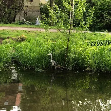 Blickfang - Modernes Direkt In Der Altstadt Von Mit Balkon - Lage Und Aussicht Apartamento Érfurt