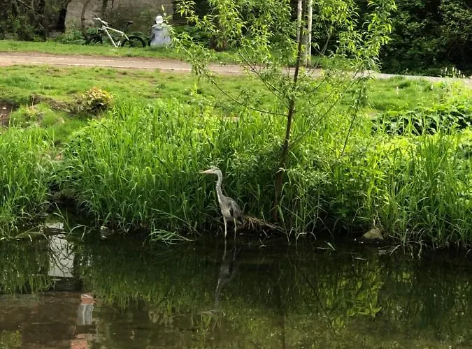 Blickfang - Modernes Direkt In Der Altstadt Von Mit Balkon - Lage Und Aussicht Appartement Erfurt